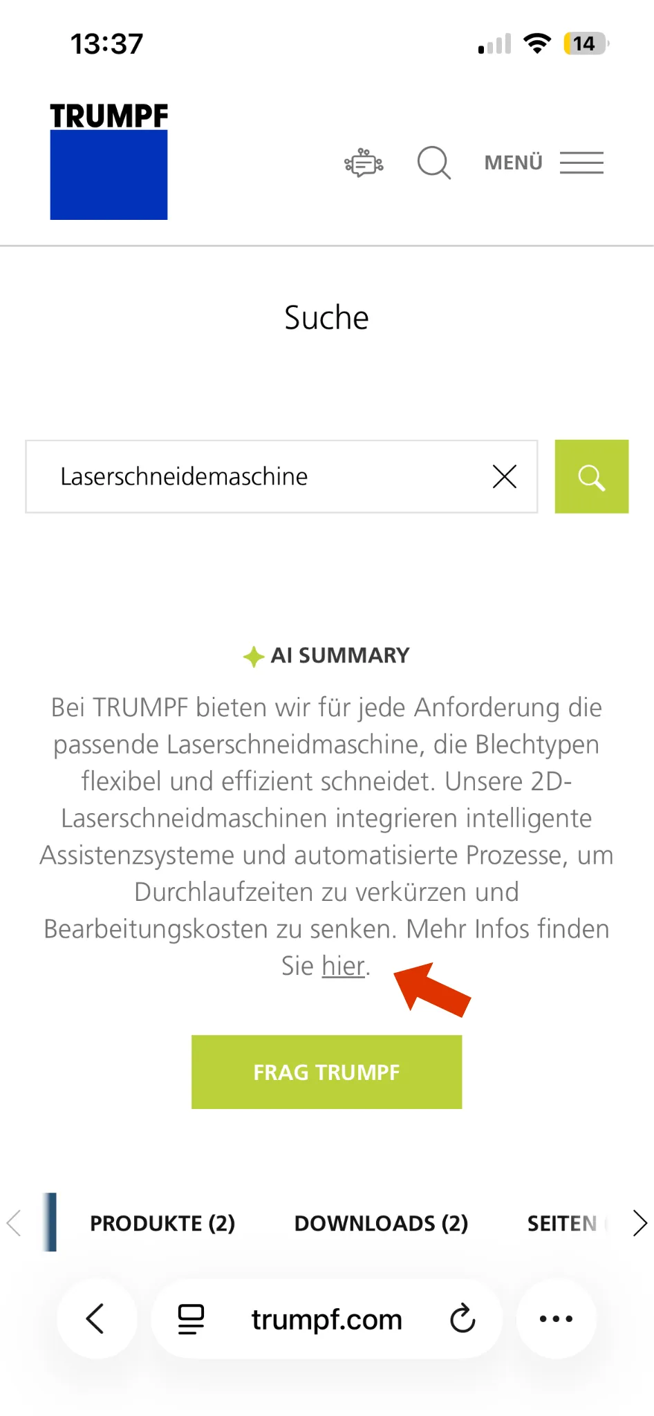 The new AI Summary from LoyJoy