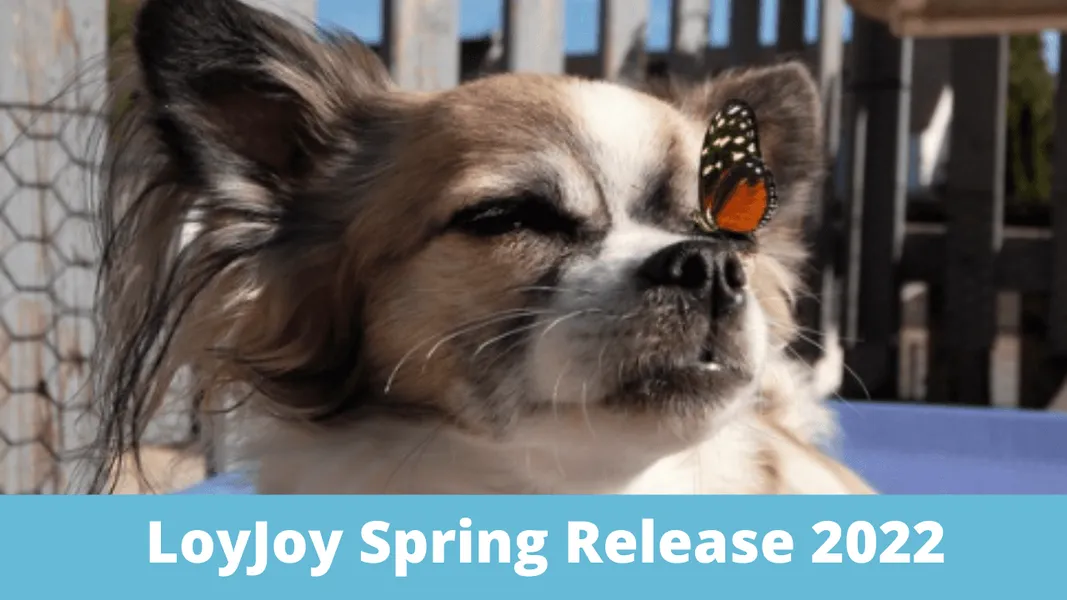 Ein kleiner Hund mit einem Schmetterling auf seiner Nase und der Bildunterschrift: "LoyJoy Spring Release 2022".