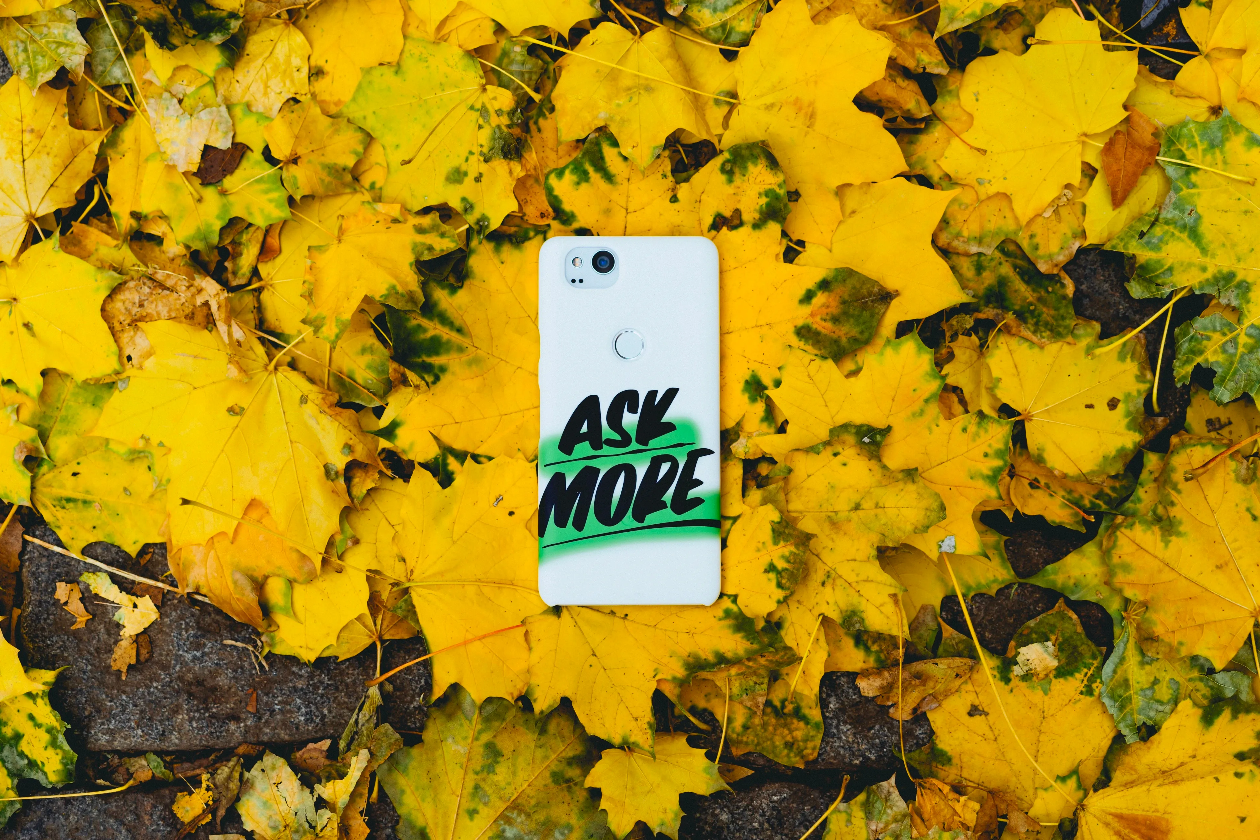 Ein Smartphone mit einem "Ask More"-Case liegt auf goldenen Blättern.